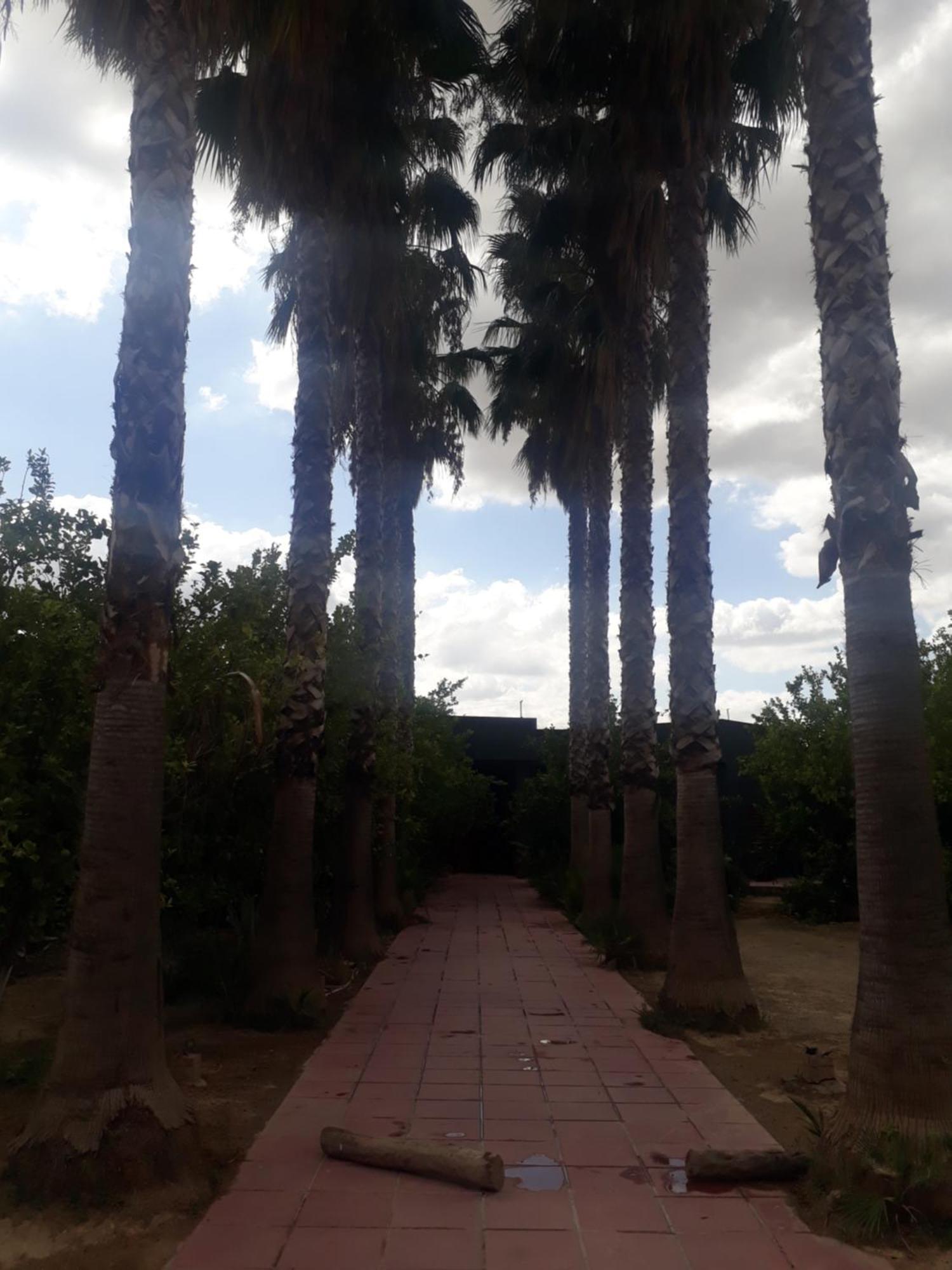 Hostal Dar Khedija El Kheriba Exterior foto